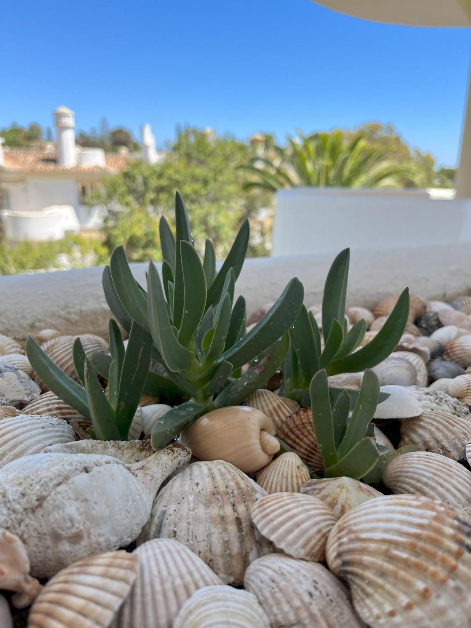 Casadeleon - Costadelsol Vacations & Remote Work Sitio de Calahonda ภายนอก รูปภาพ