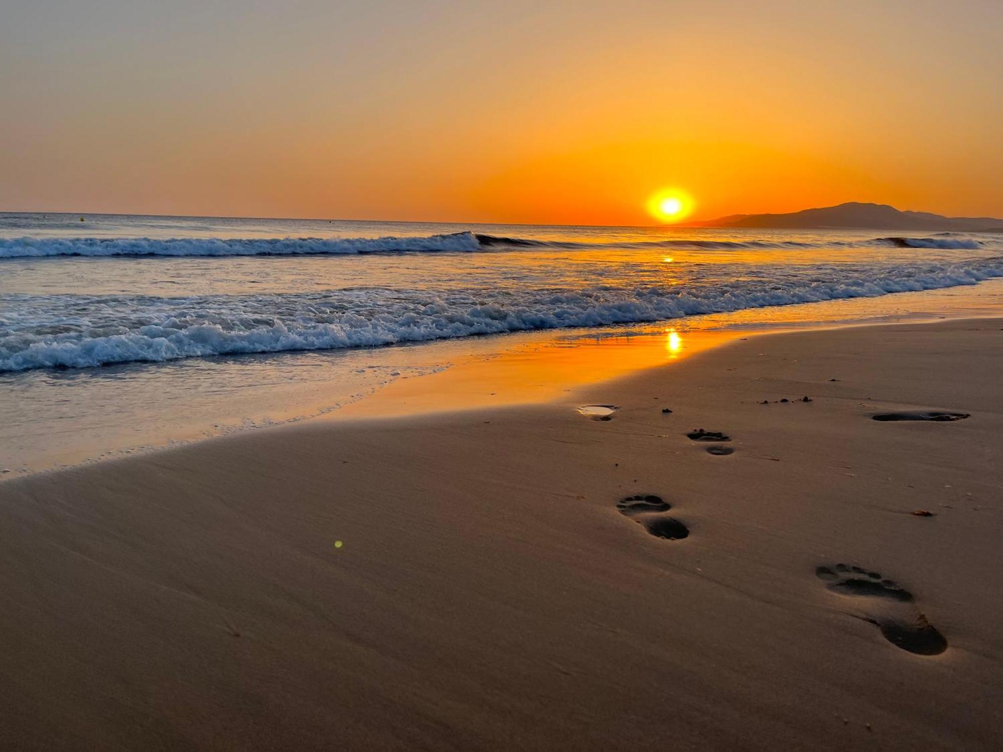 Casadeleon - Costadelsol Vacations & Remote Work Sitio de Calahonda ภายนอก รูปภาพ